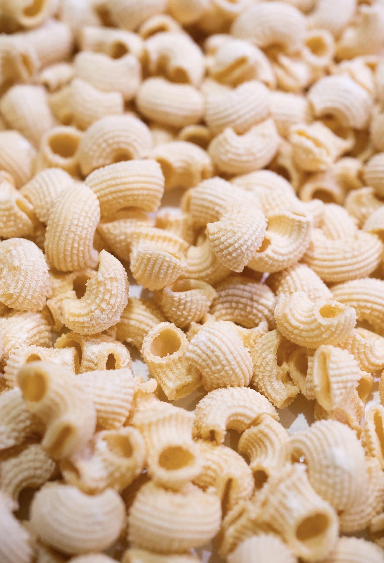 Una selezione di formati di pasta fresca