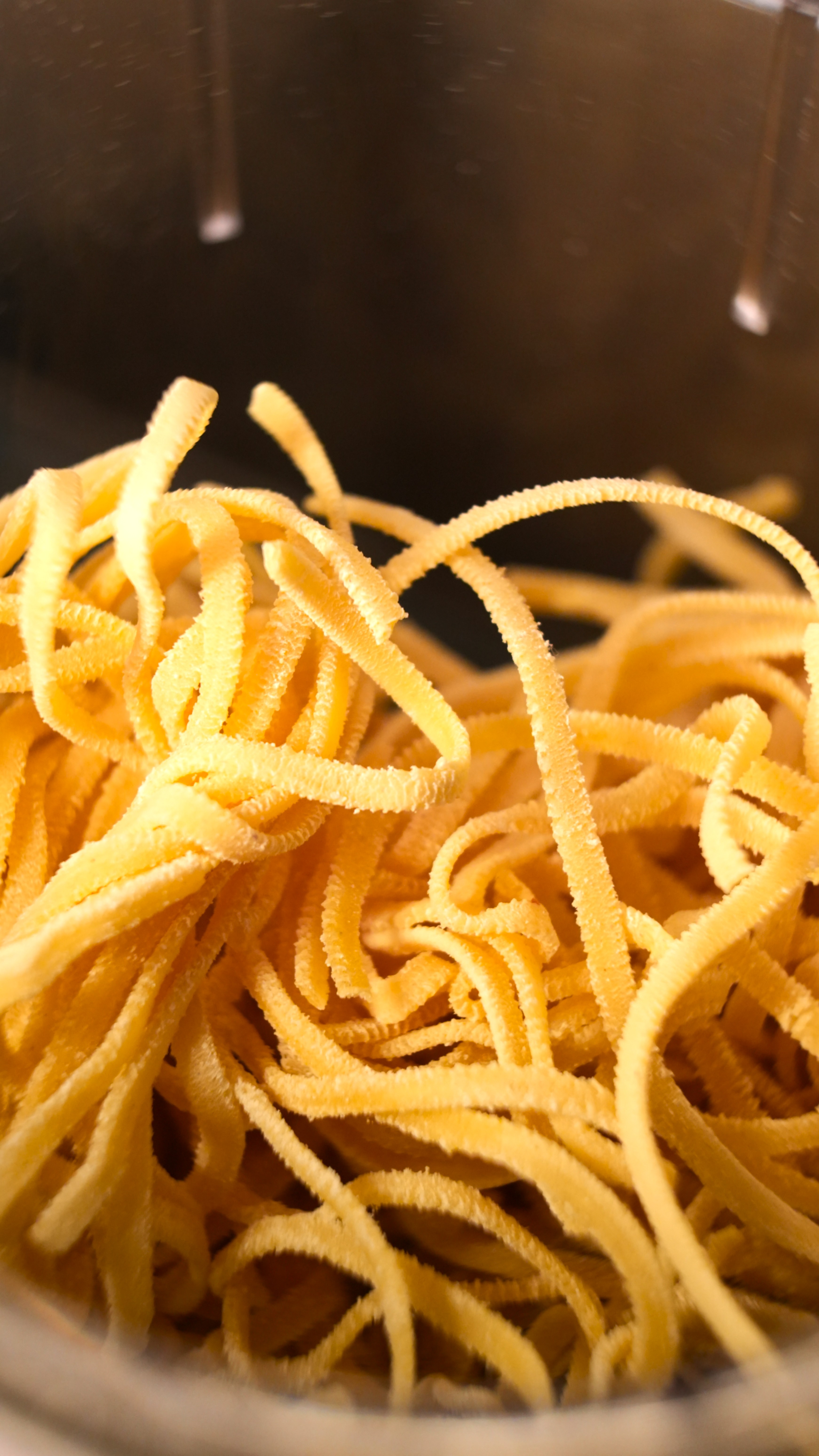 Pasta fresca appena preparata